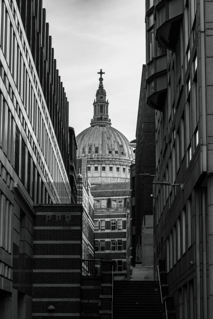 pexels-fallskornmedia-32812532